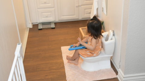 potty training books