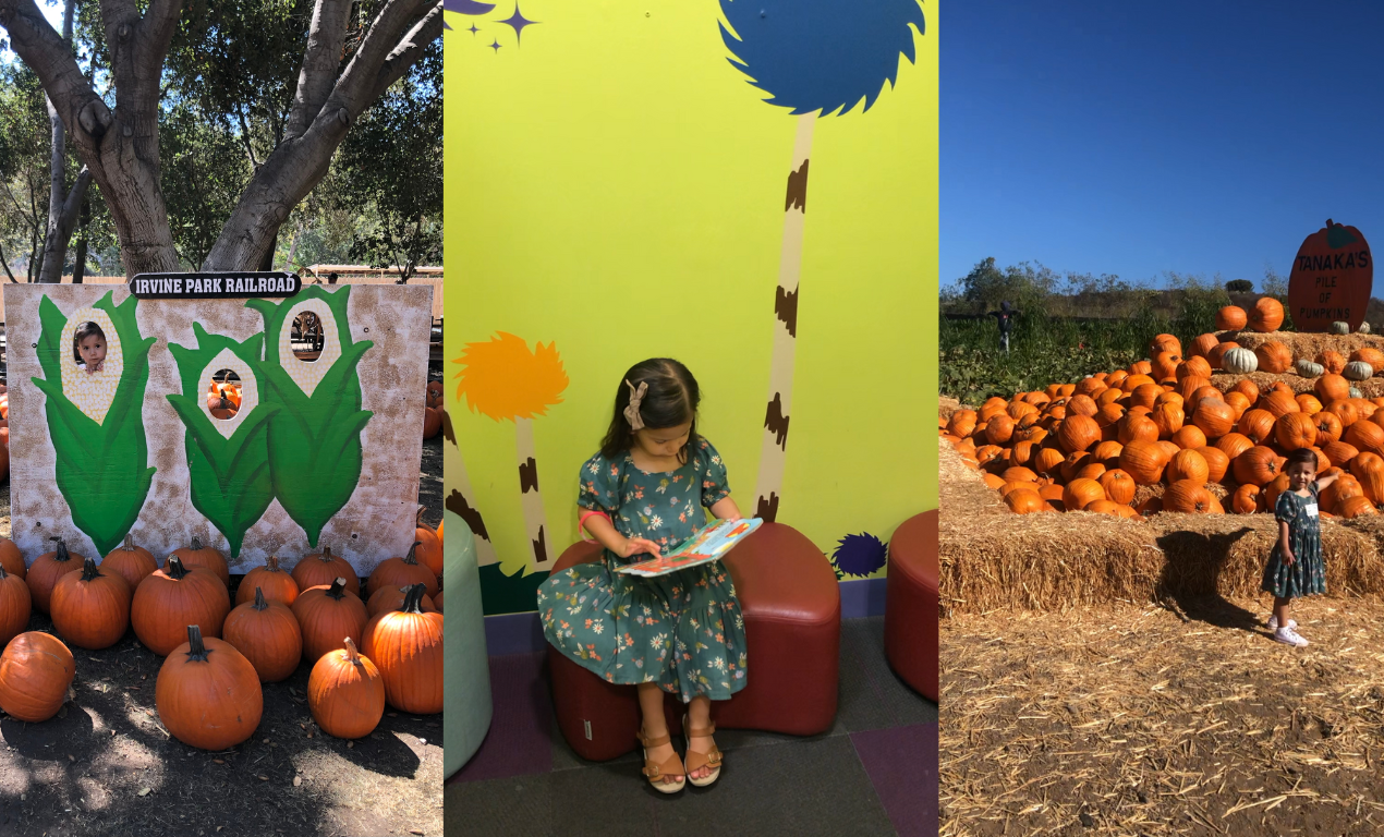 5 Inexpensive fall activities in Orange County to visit