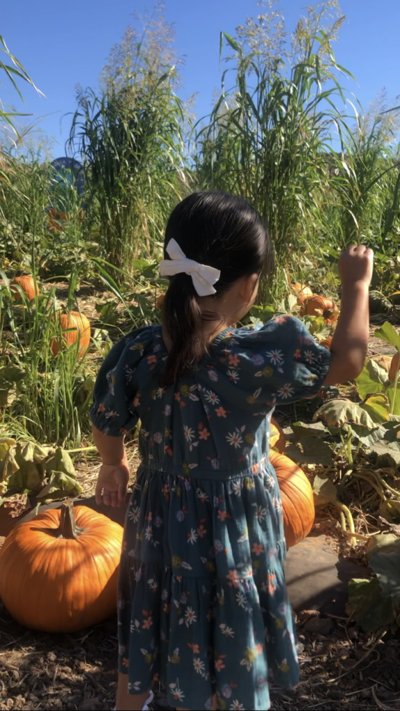 fall activities in Orange County