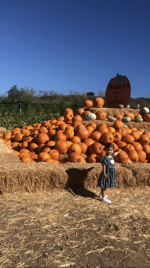 fall activities in Orange County