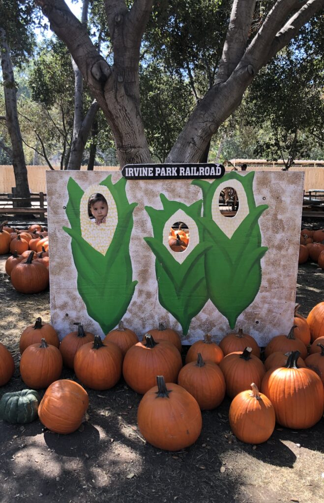 fall activities in Orange County