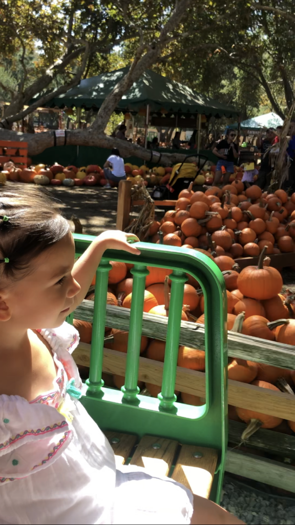 fall activities in Orange County