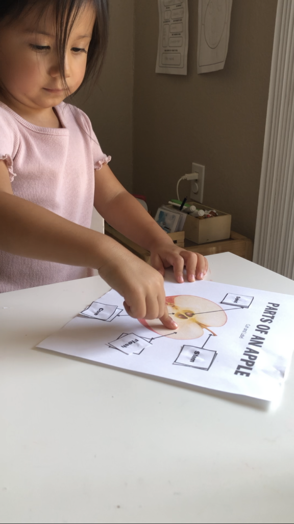 Apple Activities