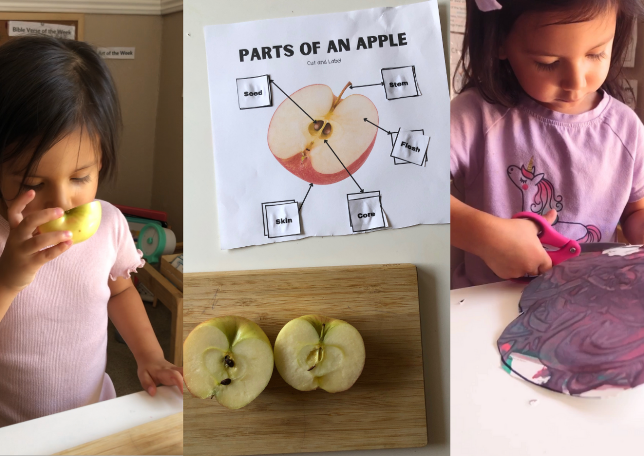 Fun and Educational Apple Activities for Preschoolers: A Fruitful Journey of Learning and Play