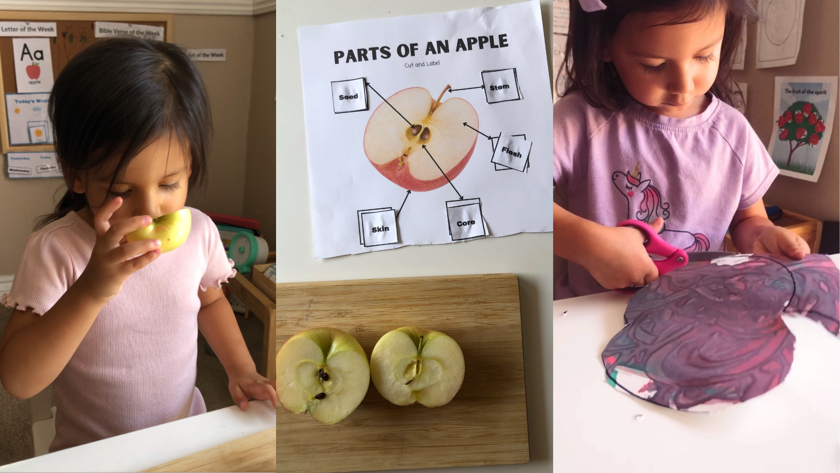 Apple Activities