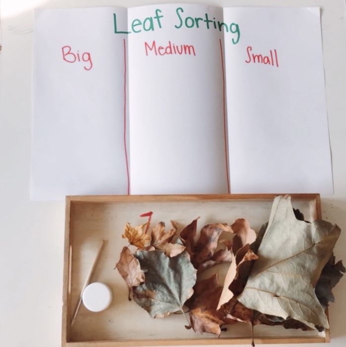 fall leaves activities