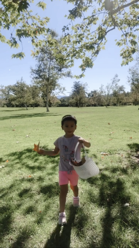 fall leaves activities